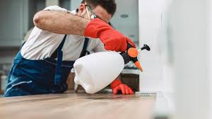 Pest Control for Restaurants and Food Service in Keystone Heights, FL